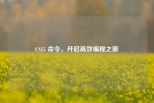 CS15 命令，开启高效编程之旅