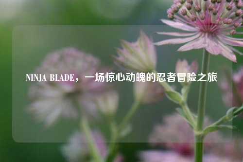 NINJA BLADE，一场惊心动魄的忍者冒险之旅