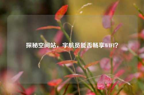探秘空间站，宇航员能否畅享WIFI？