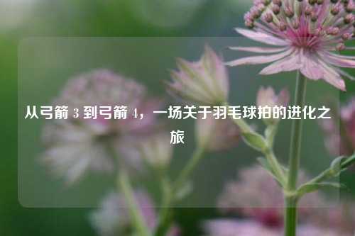 从弓箭 3 到弓箭 4，一场关于羽毛球拍的进化之旅