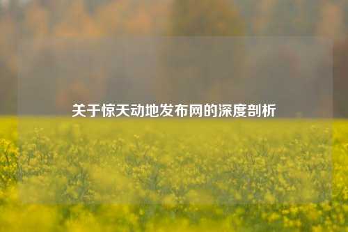 关于惊天动地发布网的深度剖析