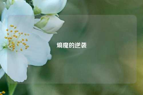熵魔的逆袭