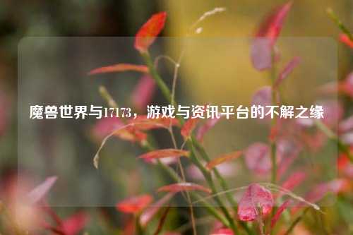 魔兽世界与17173，游戏与资讯平台的不解之缘