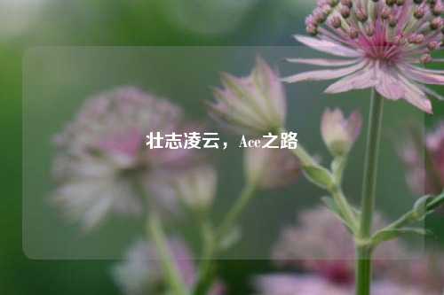 壮志凌云，Ace之路