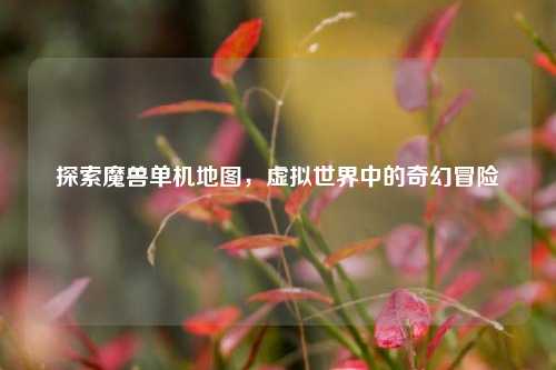 探索魔兽单机地图，虚拟世界中的奇幻冒险
