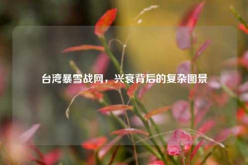 台湾暴雪战网，兴衰背后的复杂图景