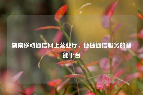湖南移动通信网上营业厅，便捷通信服务的智能平台