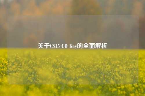 关于CS15 CD Key的全面解析
