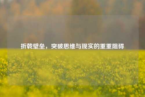 折戟壁垒，突破思维与现实的重重阻碍
