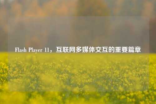 Flash Player 11，互联网多媒体交互的重要篇章