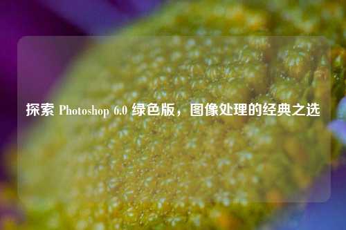 探索 Photoshop 6.0 绿色版，图像处理的经典之选