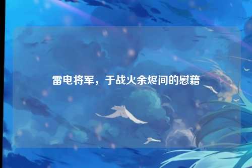 雷电将军，于战火余烬间的慰藉