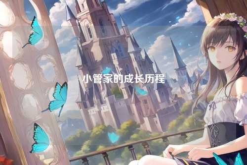 小管家的成长历程