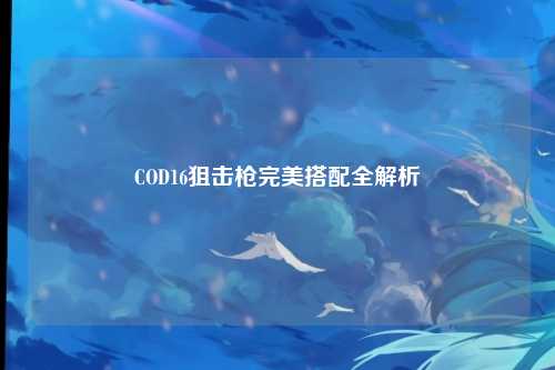 COD16狙击枪完美搭配全解析