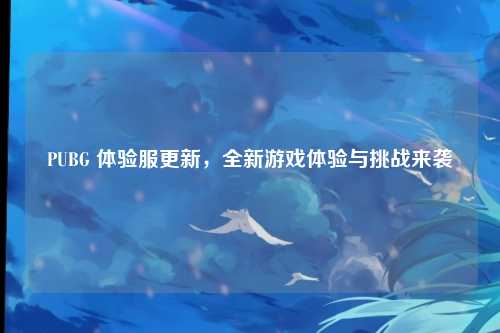 PUBG 体验服更新,全新游戏体验与挑战来袭