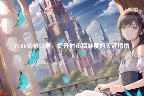 PUBG抬枪口表,提升射击精准度的关键指南