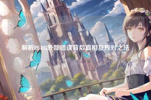 解析PUBG外部错误背后真相及应对之法